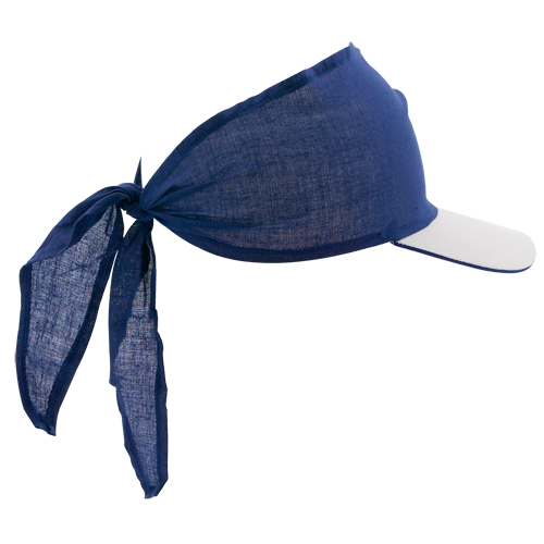 visera